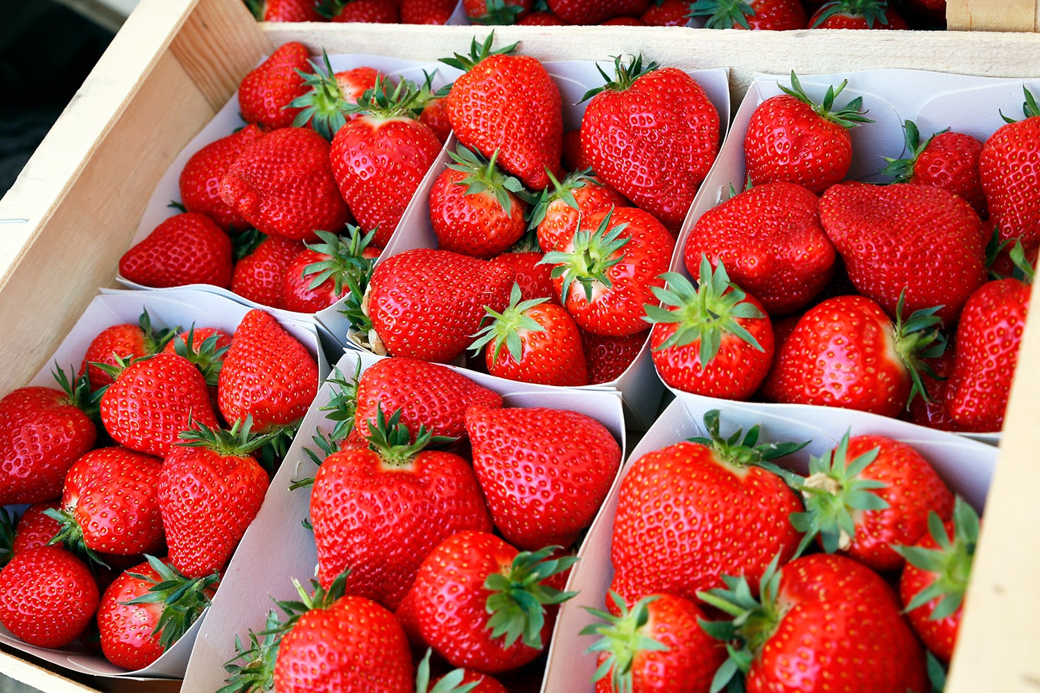 Barquettes de fraises fraîches, spécialité de Carros