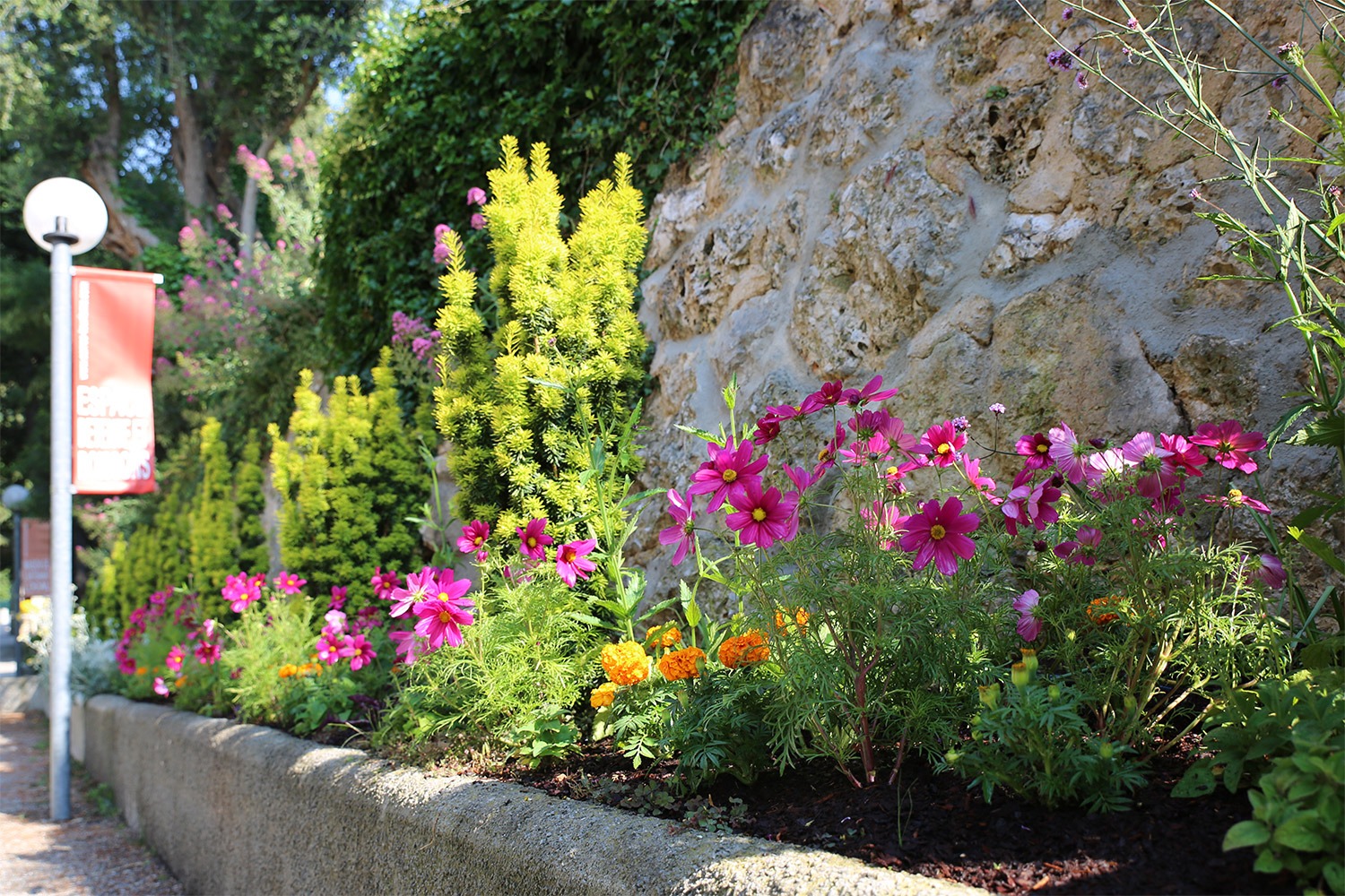 Massif de fleurs le long d'un mur de pierre à Carros, commune fleurie